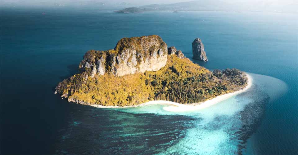 an responsive image of homepage