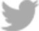 Icon_twitter